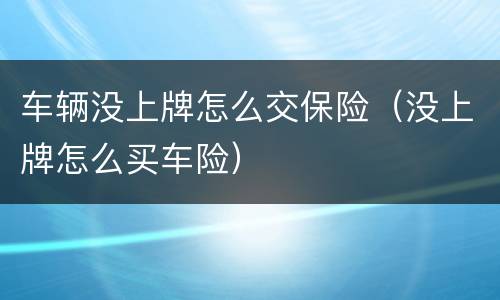 车辆没上牌怎么交保险（没上牌怎么买车险）