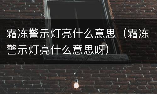 霜冻警示灯亮什么意思（霜冻警示灯亮什么意思呀）