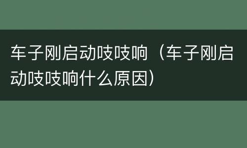 车子刚启动吱吱响（车子刚启动吱吱响什么原因）