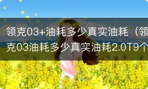 领克03+油耗多少真实油耗（领克03油耗多少真实油耗2.0T9个油是多少钱）