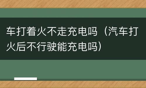 车打着火不走充电吗（汽车打火后不行驶能充电吗）