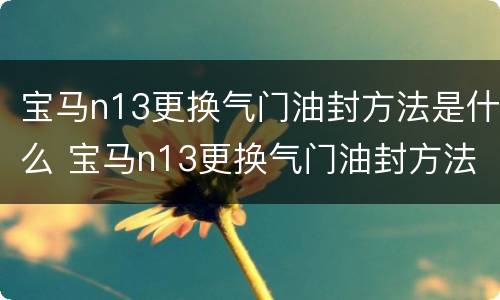 宝马n13更换气门油封方法是什么 宝马n13更换气门油封方法是什么意思