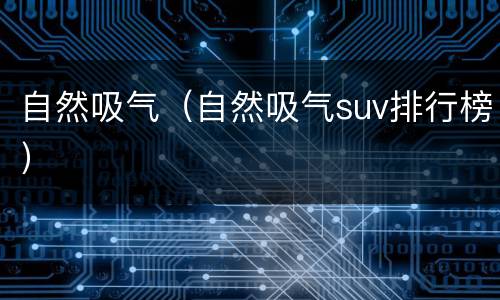 自然吸气（自然吸气suv排行榜）