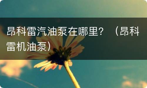 昂科雷汽油泵在哪里？（昂科雷机油泵）