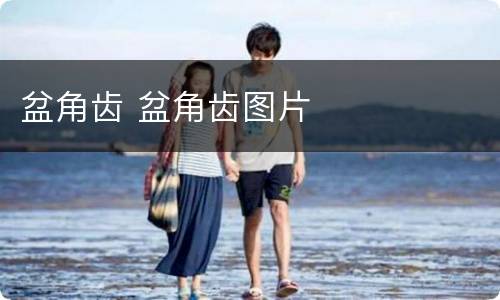 盆角齿 盆角齿图片