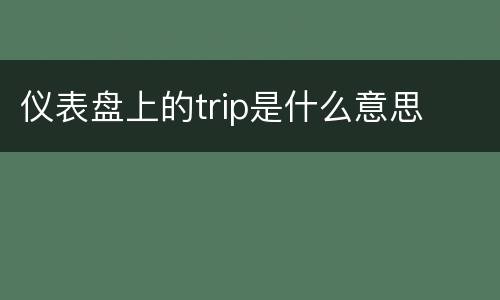 仪表盘上的trip是什么意思