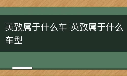 英致属于什么车 英致属于什么车型