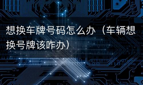 想换车牌号码怎么办（车辆想换号牌该咋办）