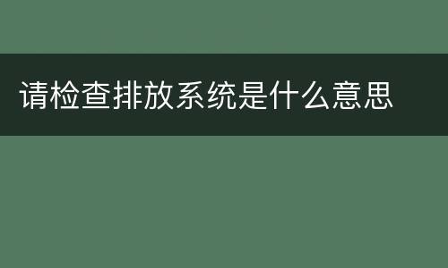 请检查排放系统是什么意思
