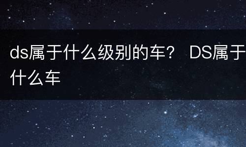 ds属于什么级别的车？ DS属于什么车