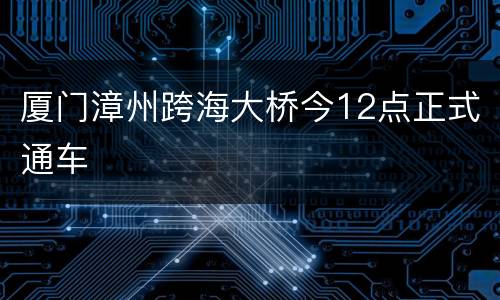 厦门漳州跨海大桥今12点正式通车
