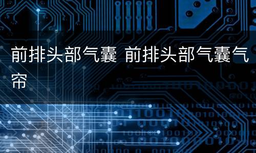 前排头部气囊 前排头部气囊气帘