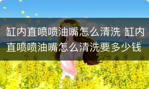 缸内直喷喷油嘴怎么清洗 缸内直喷喷油嘴怎么清洗要多少钱
