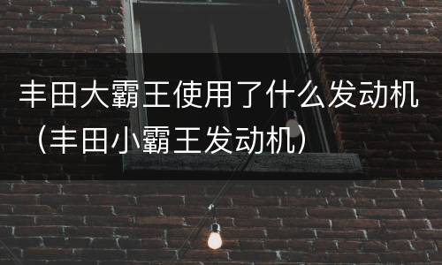 丰田大霸王使用了什么发动机（丰田小霸王发动机）
