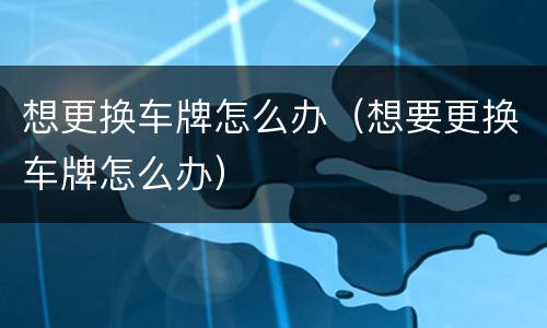 想更换车牌怎么办（想要更换车牌怎么办）