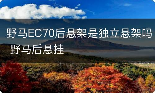 野马EC70后悬架是独立悬架吗 野马后悬挂