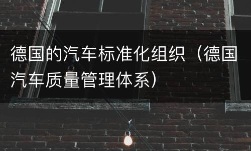 德国的汽车标准化组织（德国汽车质量管理体系）