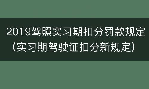 2019驾照实习期扣分罚款规定（实习期驾驶证扣分新规定）