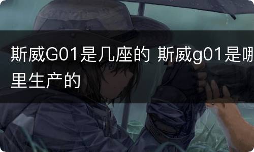 斯威G01是几座的 斯威g01是哪里生产的