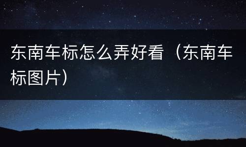 东南车标怎么弄好看（东南车标图片）