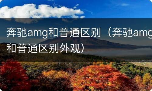 奔驰amg和普通区别（奔驰amg和普通区别外观）