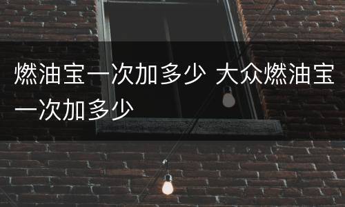 燃油宝一次加多少 大众燃油宝一次加多少