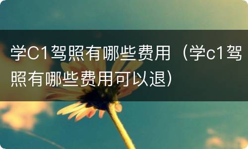 学C1驾照有哪些费用（学c1驾照有哪些费用可以退）