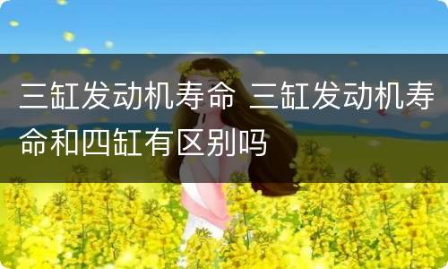 三缸发动机寿命 三缸发动机寿命和四缸有区别吗