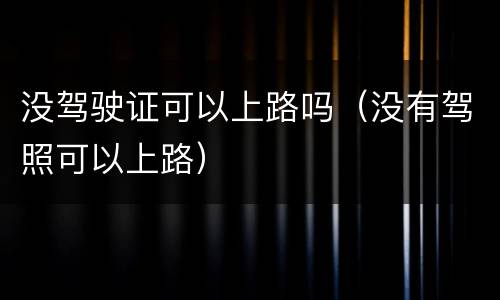 没驾驶证可以上路吗（没有驾照可以上路）