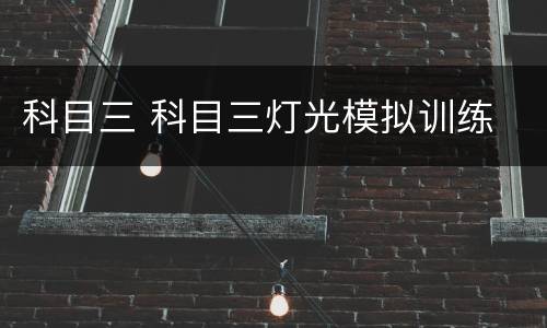 科目三 科目三灯光模拟训练