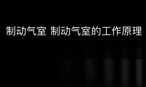制动气室 制动气室的工作原理