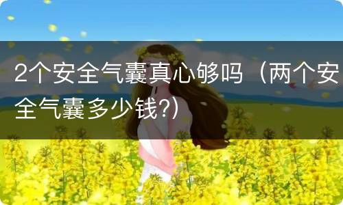 2个安全气囊真心够吗（两个安全气囊多少钱?）