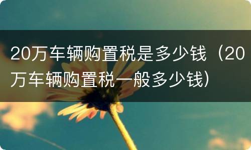 20万车辆购置税是多少钱（20万车辆购置税一般多少钱）