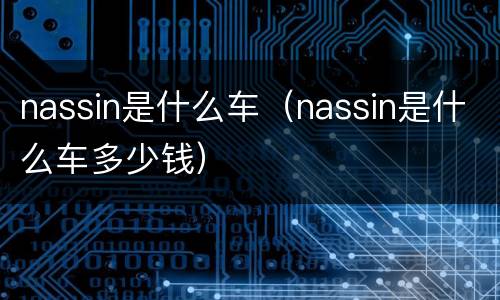 nassin是什么车（nassin是什么车多少钱）