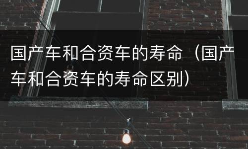 国产车和合资车的寿命（国产车和合资车的寿命区别）