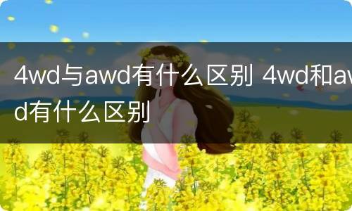 4wd与awd有什么区别 4wd和awd有什么区别