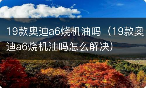19款奥迪a6烧机油吗（19款奥迪a6烧机油吗怎么解决）