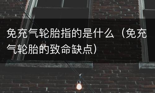 免充气轮胎指的是什么（免充气轮胎的致命缺点）