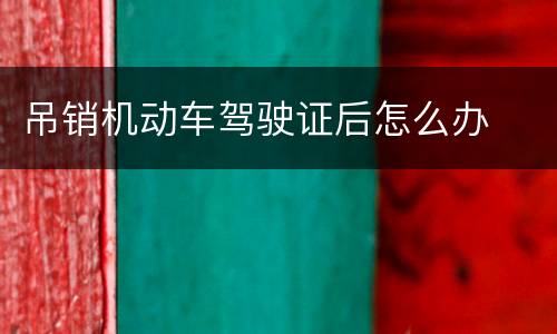 吊销机动车驾驶证后怎么办