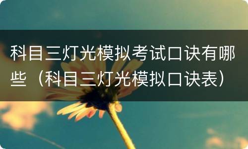 科目三灯光模拟考试口诀有哪些（科目三灯光模拟口诀表）