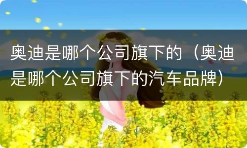 奥迪是哪个公司旗下的（奥迪是哪个公司旗下的汽车品牌）