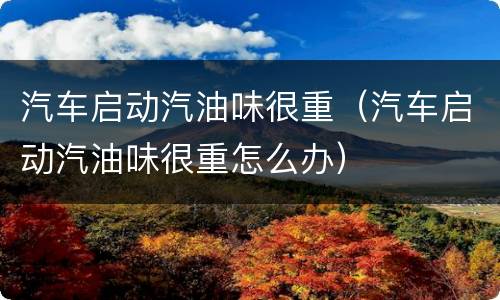 汽车启动汽油味很重（汽车启动汽油味很重怎么办）