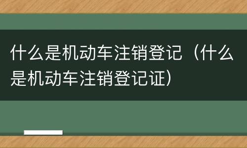 什么是机动车注销登记（什么是机动车注销登记证）