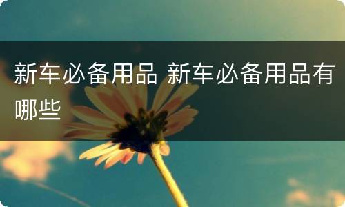 新车必备用品 新车必备用品有哪些