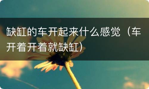 缺缸的车开起来什么感觉（车开着开着就缺缸）