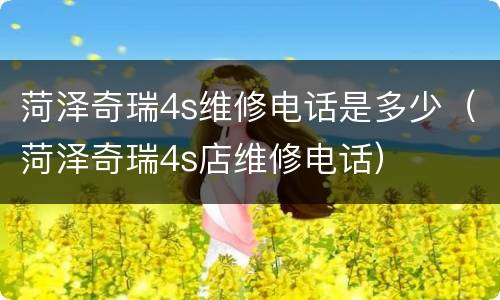 菏泽奇瑞4s维修电话是多少（菏泽奇瑞4s店维修电话）