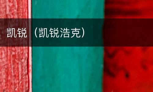 凯锐（凯锐浩克）