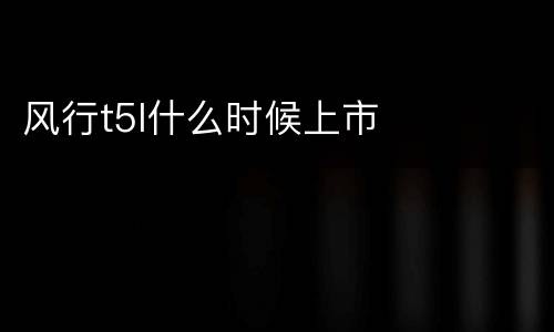 风行t5l什么时候上市