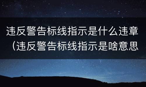 违反警告标线指示是什么违章（违反警告标线指示是啥意思）