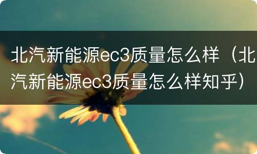 北汽新能源ec3质量怎么样（北汽新能源ec3质量怎么样知乎）